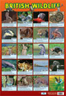 British Wildlife Poster